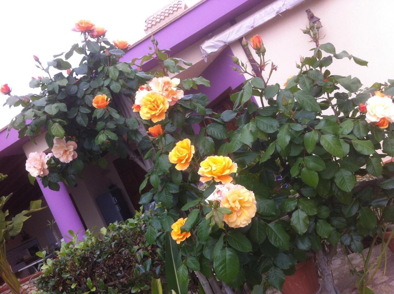 Casa Vacanze Surriano Sciacca Buitenkant foto